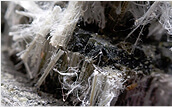 asbestos-identification
